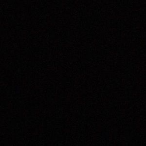 Meet your Posher, Alisha